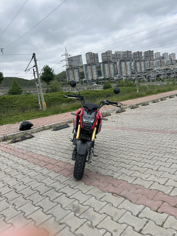 Honda MSX 125 2016 - DÜŞÜK KM HASAR KAYID YOK