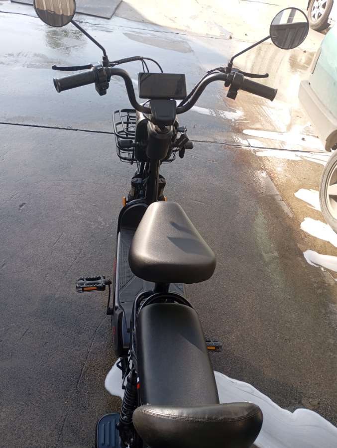 BFTALX YB 103 - Foto 2