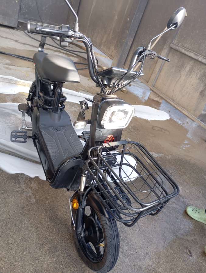 BFTALX YB 103 - Foto 3