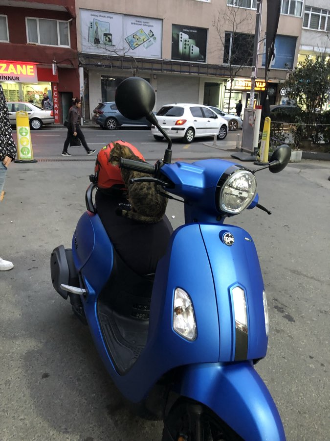 Sym Fiddle 125 2024 - SYM FİDDLE 4 125CC
