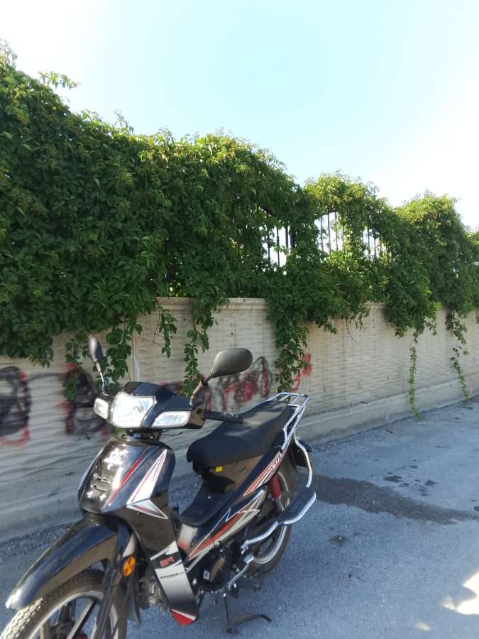 Salcano Spıder 125 - Foto 2