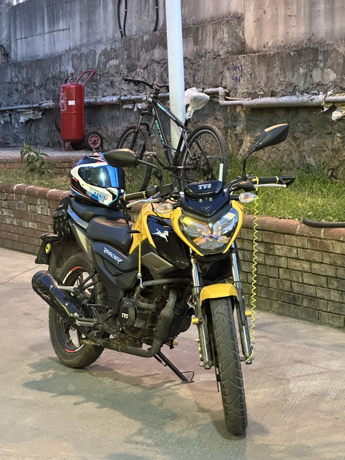 TVS Raider 125 2024 - Sarı civciv TVS
