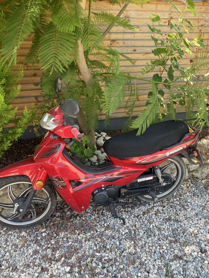 Mondial SFC Mini 50 - Foto 5