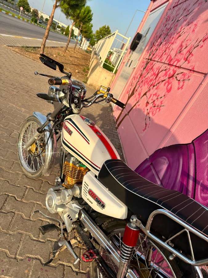 Kuba Cita 100R Gold 2023