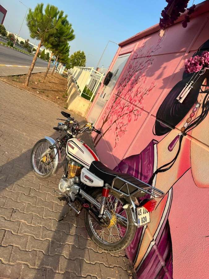 Kuba Cita 100R Gold - Foto 3