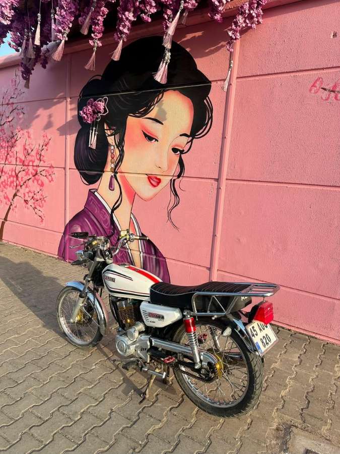 Kuba Cita 100R Gold - Foto 4