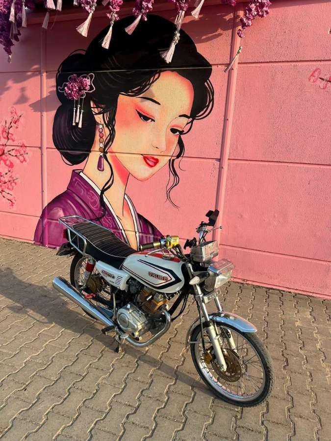 Kuba Cita 100R Gold - Foto 5