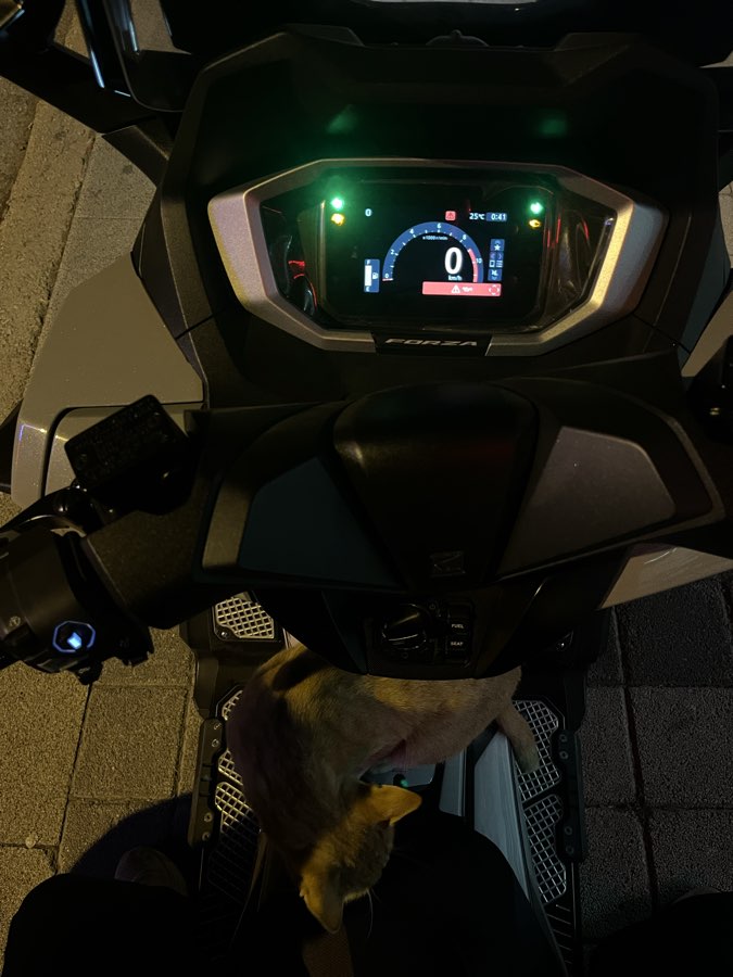 Honda FORZA 250 NSS 2024 - fotoğraf 4