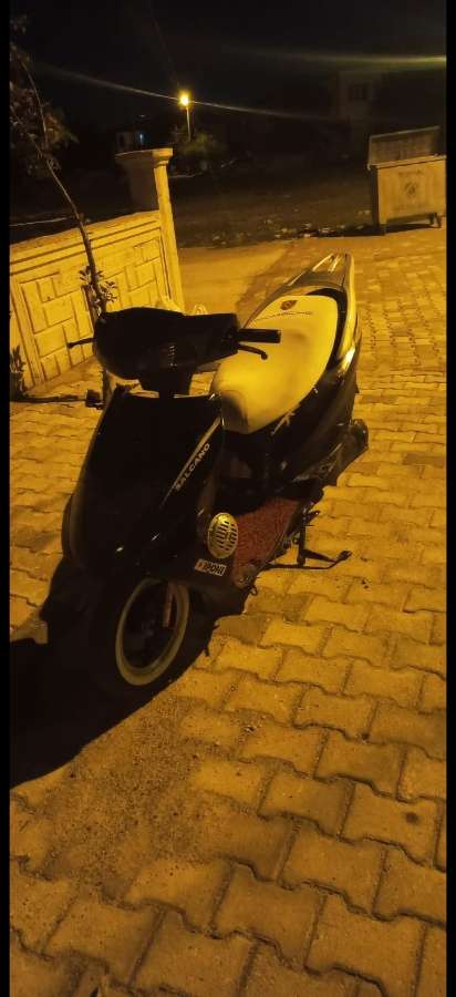 salcano Elegant 2025 - fotoğraf 2