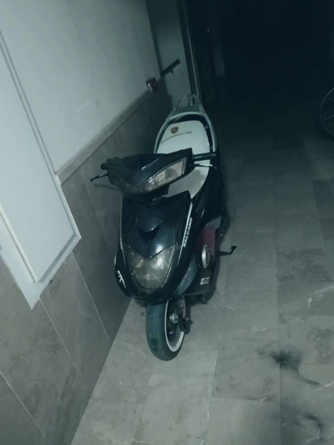 salcano Elegant 2025 - fotoğraf 3